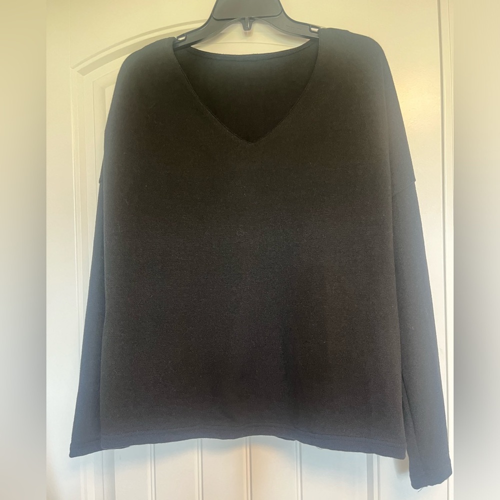 Solid black v neck, light sweater. New